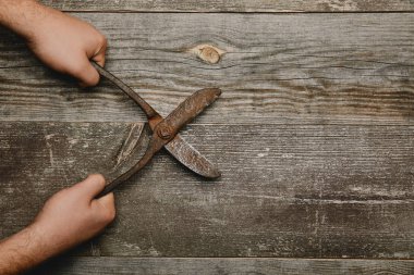 Partial view of worker holding vintage rusty carpentry scissors on wooden background clipart