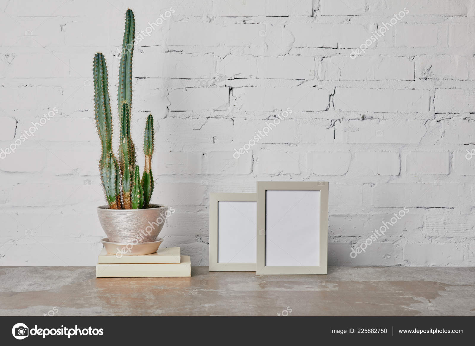 Cactus Plant Books Photo Frames White Brick Wall Background Stock Photo Image By C Antonmatyukha