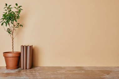 Plant and books on dusty table on beige background clipart