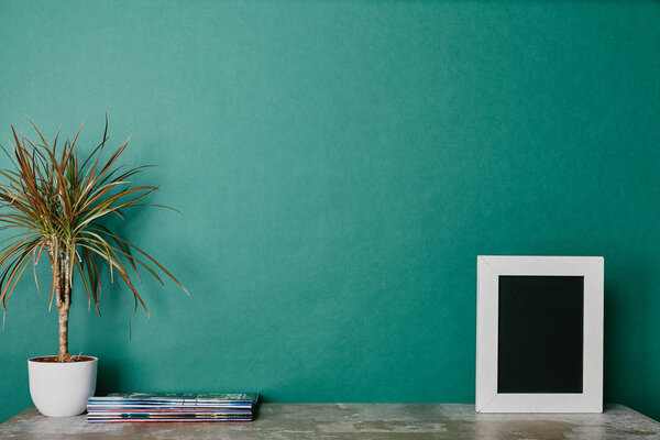 Plants, photo frame and journals on green background