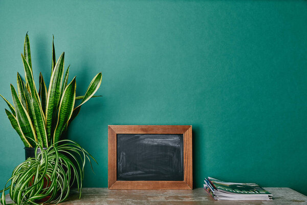 Plants in flowerpots, magazines and empty photo frame on table green background