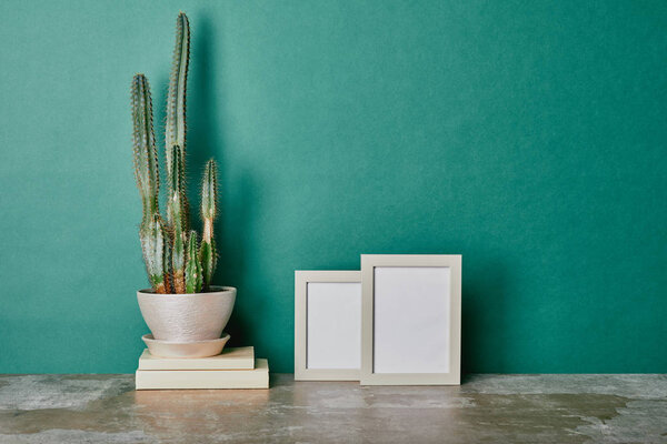 Cactus in flowerpot on books and empty photo frames on green background