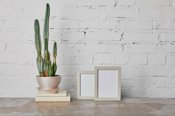 Cactus plant on books and photo frames on white brick wall background