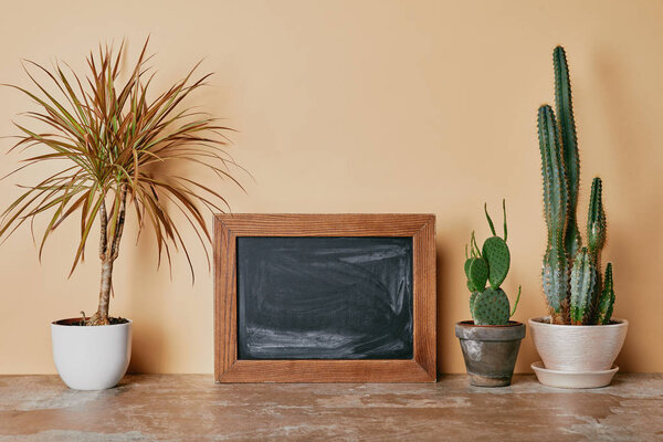 Empty photo frame and different plants on beige background