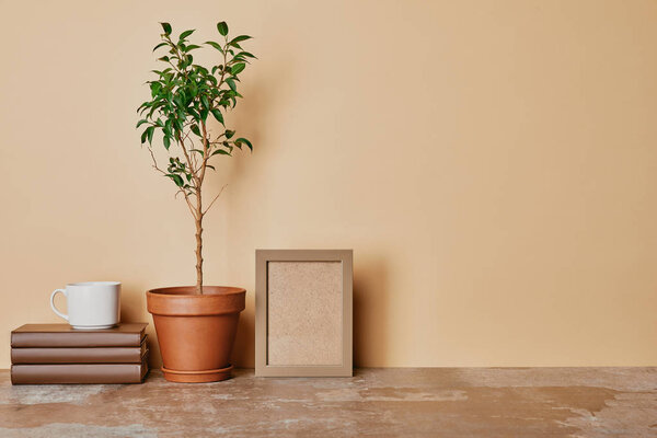 Plant in flowepot, books and photo frame on table on beige background