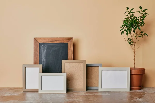 Divers Cadres Photo Plante Sur Table Sur Fond Beige — Photo