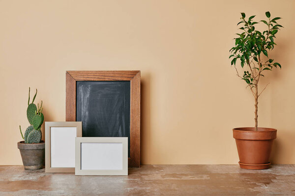 Растения и фоторамки на пыльном столе на бежевом фоне
