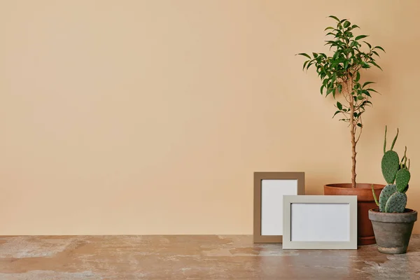 Pflanzen Und Zwei Fotorahmen Auf Holztisch Auf Beigem Hintergrund — Stockfoto