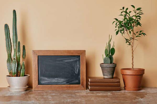 Different plants, wooden photo frame and books on beige background