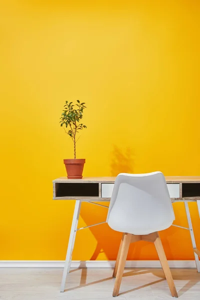 Plant Bloempot Houten Tafel Buurt Van Helder Gele Muur — Stockfoto