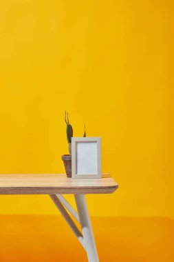 Boş fotoğraf çerçevelemek ve sarı saksı kaktüs 