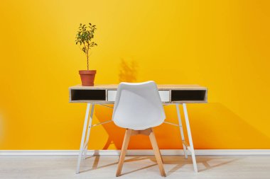 Masa ve sandalye sarı duvarının yakınında, Saksı bitki
