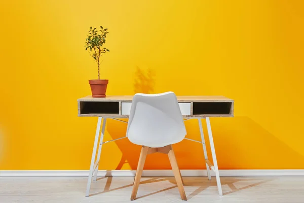 在黄色墙壁附近的书桌和椅子上种植花盆 — 图库照片