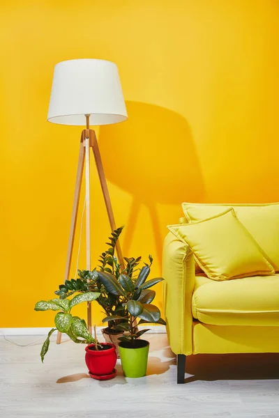 Sofa, green plants and floor lamp near yellow wall