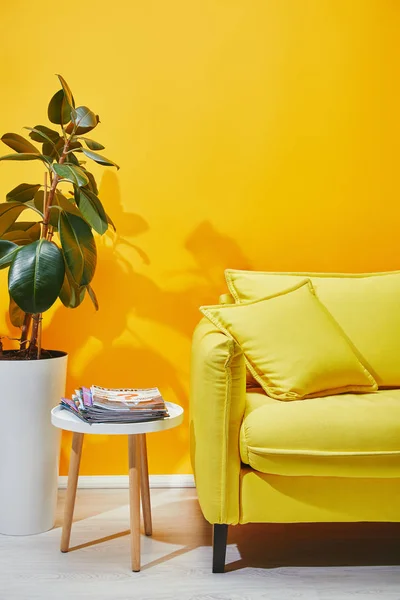 Sofa Plant Pot Coffee Table Journals Yellow Wall — Stock Photo, Image