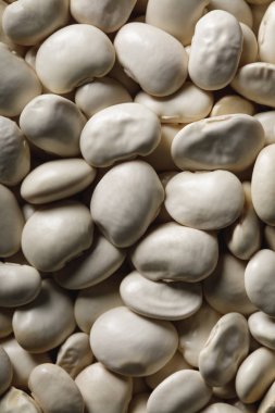 close up of white beans as textured background with copy space clipart