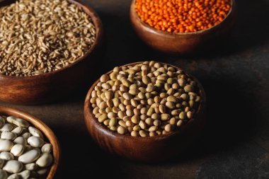 soybean, lentils and oat groats in wooden bowls on table clipart