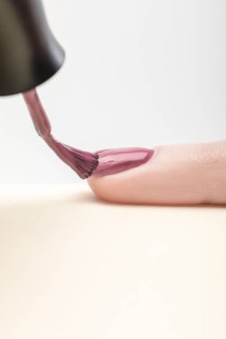 shiny purple nail polish on fingernail of woman on grey background clipart