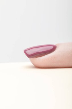 fingernail with shiny purple nail polish on grey background clipart