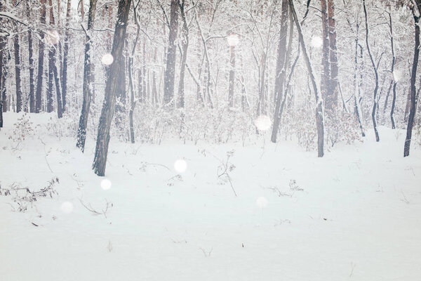 scenic view of winter forest and blurred falling snowflakes