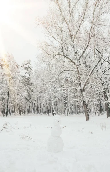 Мальовничий Вид Засніжені Дерева Сніговика Зимовому Лісі — стокове фото
