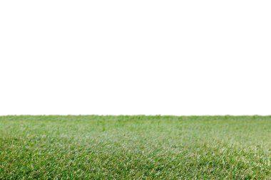 lawn with green grass on white, floral background clipart