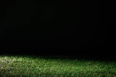 ile siyah, çiçek zemin üzerine yeşil çim futbol sahası