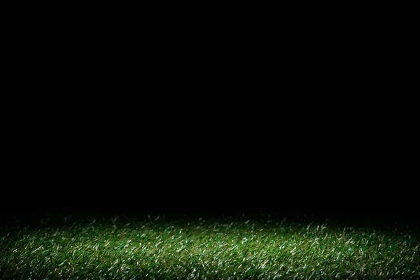 lawn with green grass on black, floral background