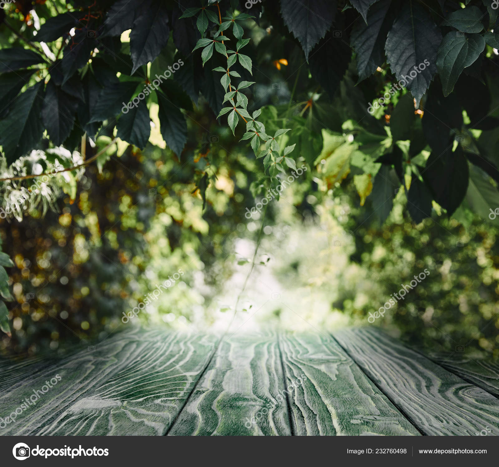 Fundo Madeira Listrado Papel Parede Lindas Folhas Verdes Stock