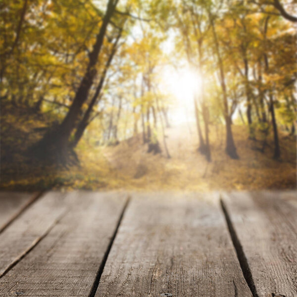 striped wooden background on beautiful autumnal forest wallpaper