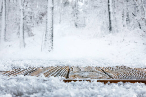 surface level of striped brown wooden path and beautiful winter forest