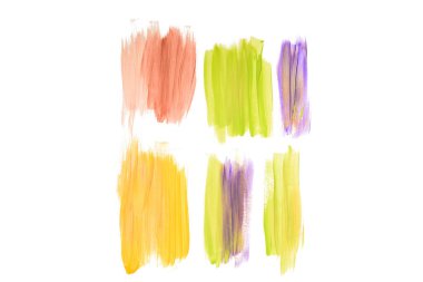 Abstract watercolor coral, golden, purple and green brushstrokes isolated on white clipart