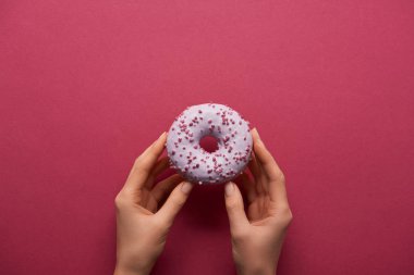 cropped view of woman holding sweet donut on ruby background  clipart
