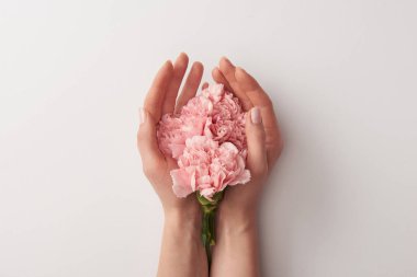 Kırpılan çekim güzel pembe çiçekler gri izole tutan kadın 