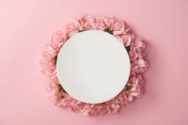 top view of round white plate and beautiful pink flowers isolated on pink background clipart