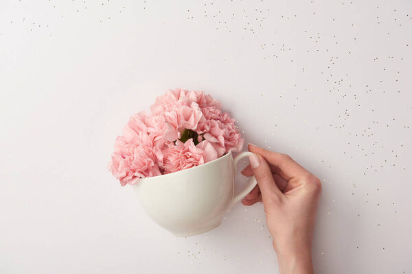 cropped shot of woman holding cup with pink carnation flowers isolated on grey