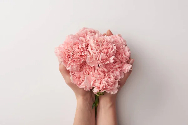 グレーに分離された美しいピンクのカーネーションの花を保持している女性のクロップ撮影 — ストック写真