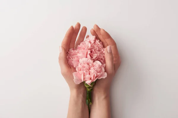 Foto Recortada Mujer Sosteniendo Hermosas Flores Rosadas Aisladas Gris — Foto de Stock