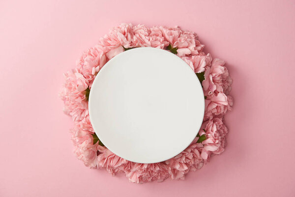 top view of round white plate and beautiful pink flowers isolated on pink background
