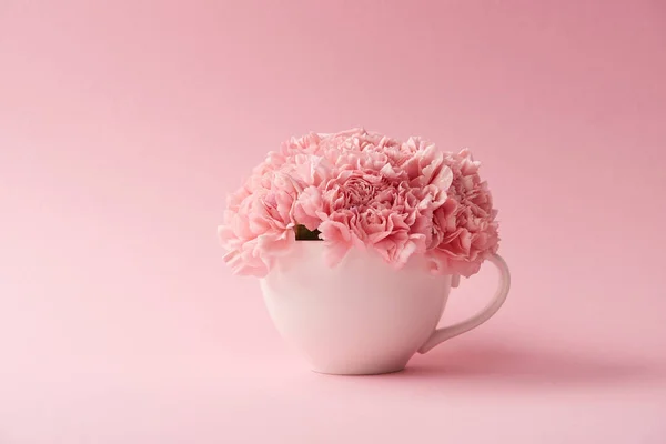 Nahaufnahme Von Schönen Zartrosa Nelkenblüten Weißer Tasse Auf Rosa Hintergrund — Stockfoto