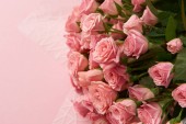 Detailní pohled na krásné něžně růžové růže květy izolované na růžové