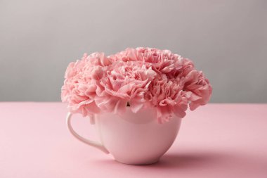 güzel pembe karanfil çiçek Kupası'nda Grey görmek  