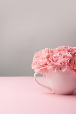 güzel pembe karanfil çiçek Kupası'nda gri arka plan üzerinde görmek 