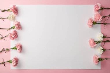 pembe bir arka plan üzerinde güzel pembe ve beyaz çiçekler ve boş kartı üstten görünüm