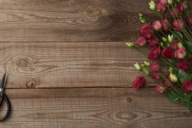ahşap arka plan üzerinde güzel ihale eustoma çiçek ve makas üstten görünüm