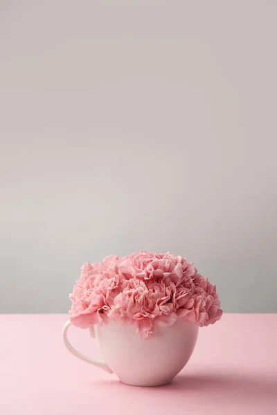 White Cup Beautiful Tender Pink Carnation Flowers Grey — Stock Photo, Image