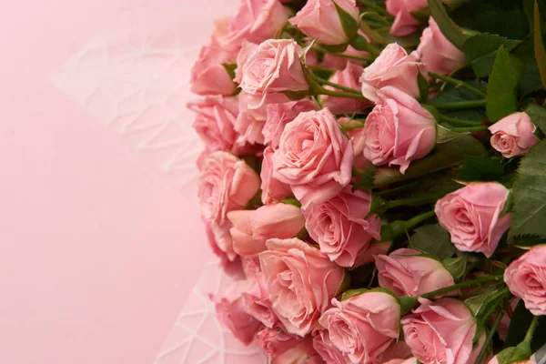 Detailní Pohled Krásné Něžně Růžové Růže Květy Izolované Růžové — Stock fotografie