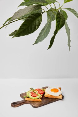 Ahşap kesme tahtası tost ve gri arka plan üzerinde yeşil bitki altında çırpılmış yumurta ile seçici odak