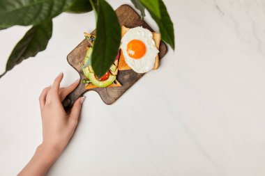 top view of womans hand holding wooden cutting board with toasts and scrambled egg under green plant on marble surface clipart