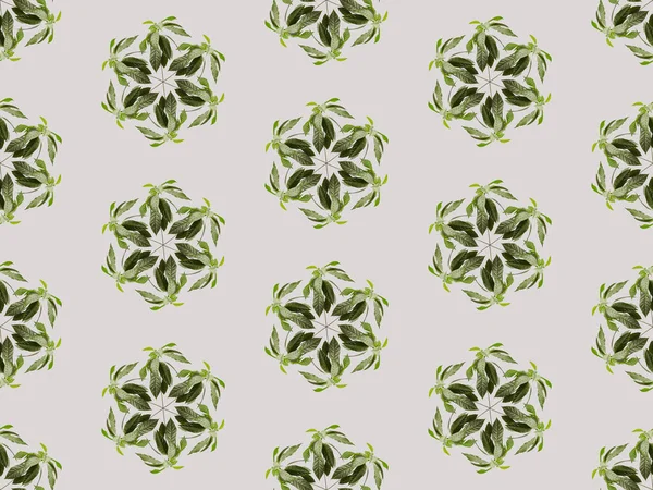 collage of green leaves isolated on grey, seamless background pattern